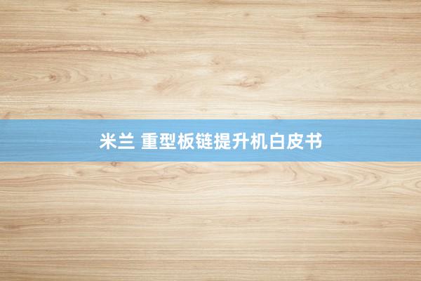 米兰 重型板链提升机白皮书