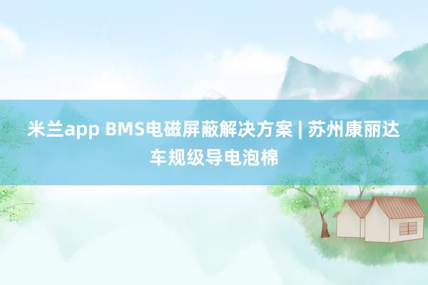 米兰app BMS电磁屏蔽解决方案 | 苏州康丽达车规级导电泡棉