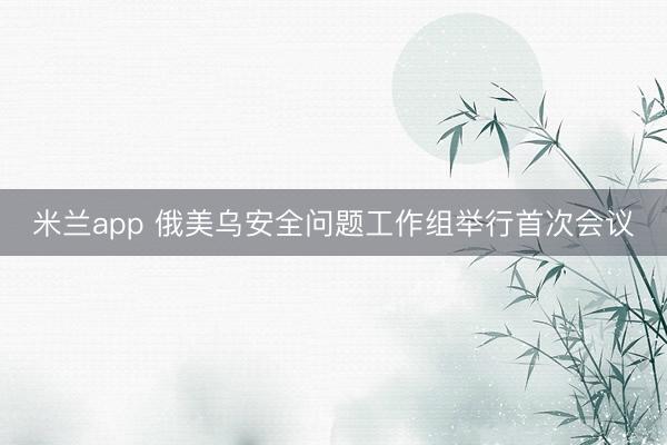 米兰app 俄美乌安全问题工作组举行首次会议