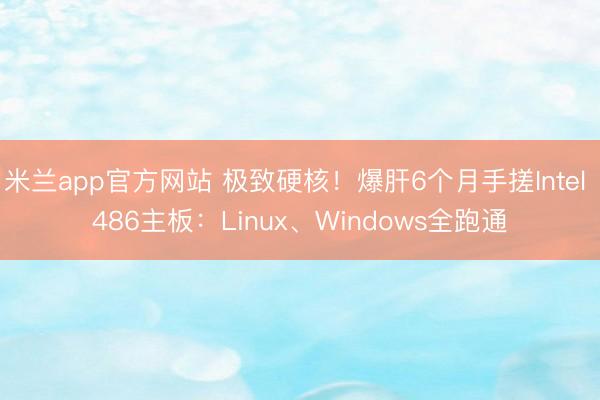 米兰app官方网站 极致硬核！爆肝6个月手搓Intel 486主板：Linux、Windows全跑通