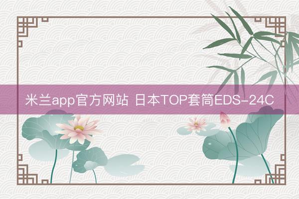 米兰app官方网站 日本TOP套筒EDS-24C