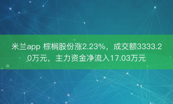 米兰app 棕榈股份涨2.23%，成交额3333.20万元，主力资金净流入17.03万元