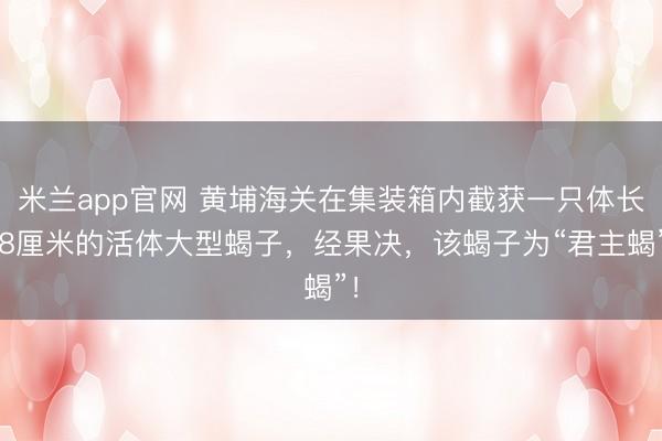 米兰app官网 黄埔海关在集装箱内截获一只体长18厘米的活体