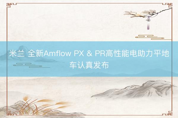 米兰 全新Amflow PX PR高性能电助力平