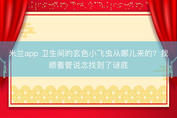 米兰app 卫生间的玄色小飞虫从哪儿来的？我顺着管说念找到了谜底