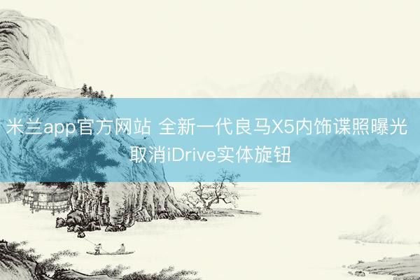 米兰app官方网站 全新一代良马X5内饰谍照曝光 取消iDrive实体旋钮